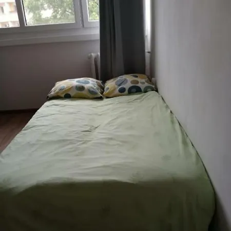 Comfy Flat Free Parking ホームステイ *